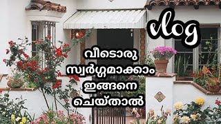 ചെടികൾ കൊണ്ട് വീടൊരുക്കാം ചില വിദ്യകൾ പറയാം /Gardening Malayalam/Home Makover/Home Tour/Zain World