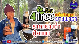 การดูแลยางพารา ช่วงปุ๋ยแพง ราคายางต่ำ | รีวิว 4tree สวนยางภาคอีสาน | สังคมเกษตรเงินล้าน