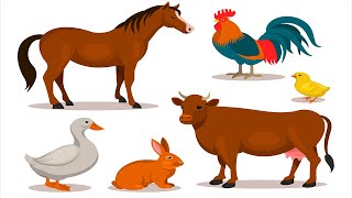 PET ANIMALS NAME | FARM ANIMALS | DOMESTIC ANIMALS |🐷🐏🐓