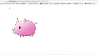 Turtle Adding images