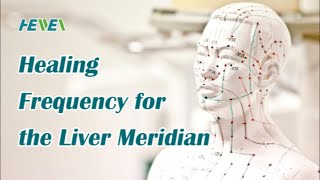 Healing Frequency for the Liver Meridian - Improve Liver Functions, Circulation, and Urination