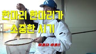 회사업무도 해야하고 낚시도 해야하고 바쁜하루/ 겨울물낚시매력/ #쌍방죽낚시터 #맛고소 #아쿠아텍x #원테이크 #경원에프앤비 #이준열프로 #마약붕어