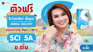 ติวฟรี เนื้อหาวิทยาศาสตร์ ม.ต้น