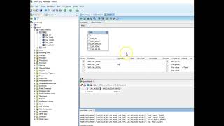 Using Query Worksheet in SQL Developer