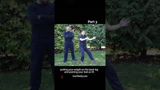 Wing Chun vs Mantis Kung Fu Techniques - Part 3 #shorts