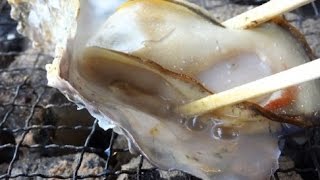 かき小屋 「曽根干潟一粒かき」 Oysters BBQ～2015冬