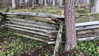 Lost Slave Cemetery New Graves Found
