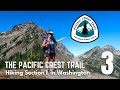 SOLO BACKPACKING The Pacific Crest Trail | Section L in Washington | PCT 2020 | Ep. 3