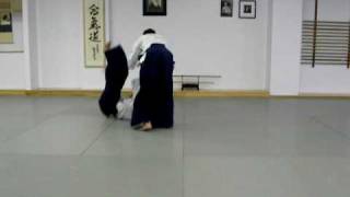 Aikido - 3 Kyu - Technique - Yokomenuchi Iriminage