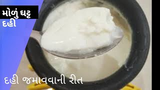 મોળુ અને ઘટ્ટ દહીં જમાવાની પધ્ધતિ I How to Make Curd at Home