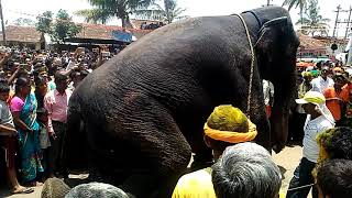 Haliyal Jatra utsav