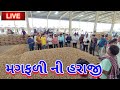 live peanuts trading in jasdan marketing yard,June 27, 2022