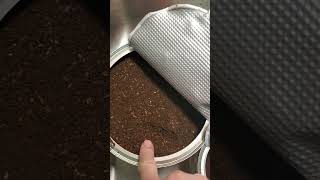 Clover Valley Classic Roast Ground Coffee Review...What is this?