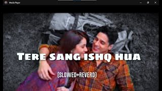 Tere Sang Ishq Hua ( slowed reverd ) | YODHA | Arijit Singh, Sidharth , Malhotra Neeti