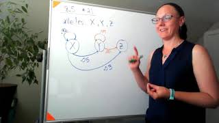 Difference Equations, Diagrams, and Matrix Models - section 8.5