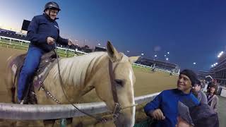 Churchill Downs - Dawn at the Downs: Morning Workout on October 19, 2024.