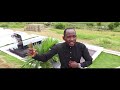 freddy tshimanga la mortclip officiel youtube720p111