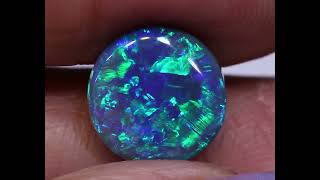 Visit our OPALS at www.trueblueopals.com @trueblueopals