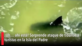 ¡Uh… ahí está! Sorprende ataque de tiburón a turistas en la Isla del Padre