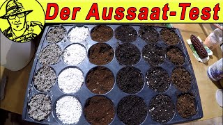 Aussaat in Kokos, Perlite, Kaffee und Wolle 😮 Mit Daniella und Englischunterricht.