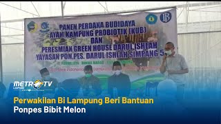 Perwakilan BI Lampung Serahkan Bantuan Bibit Melon ke Pesantren