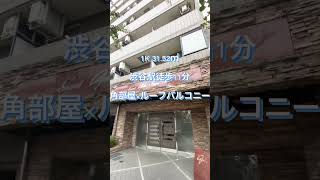 【渋谷徒歩11分】10階建8階の角部屋　南向きの広々ルーフバルコニー付　1K高級分譲型賃貸マンション