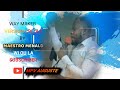 MPV AUGUSTE - WAY MAKER(SINACH) VERSION-CREOLE BY MAESTRO MENALD