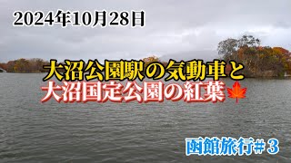 2024年10月28日　大沼公園駅の気動車と大沼国定公園の紅葉🍁　函館旅行#３