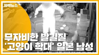 [자막뉴스] 무자비한 발길질...'고양이 학대' 일본 남성 / YTN