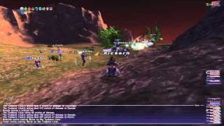 FFXI Tonberry Lieje battle