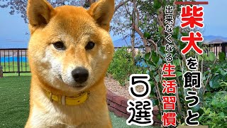 No-143 柴犬を飼うと出来なくなる生活習慣５選