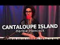 Herbie Hancock - Cantaloupe Island (Piano Improvisation)