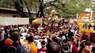 旗岡八幡神社のお祭り（２０１６）