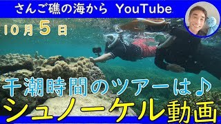 【石垣島の海】水深が浅くなる干潮時間！10月5日シュノーケリングツアーの動画