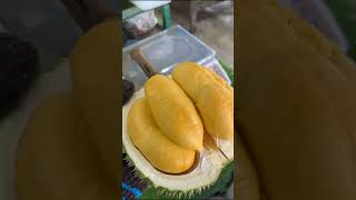 Durian duri hitam puleen.. #buah  #buahlokal #fruit #durianenak #shorts