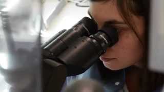 Criminalist II / DNA Analyst Chrissy Hurley, Crime Lab