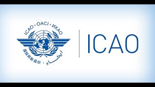 Indonesia Participated in Promoting the SARP Development Related to the Water Aerodrome in ICAO