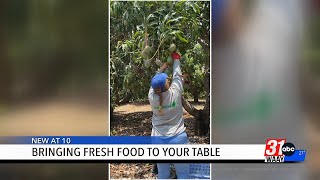 Bringing fresh food to your table