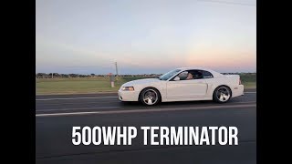 THE BEST MUSTANG EVER MADE? 2004 FORD MUSTANG TERMINATOR COBRA REVIEW