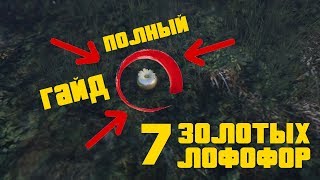 ВСЕ 7 ЗОЛОТЫХ ЛОФОФОР В GTA 5