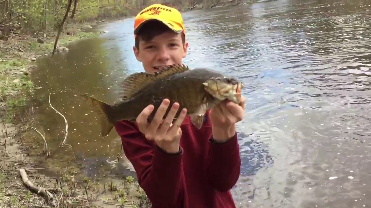 Catching Brook Trout Early Spring - YouTube