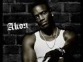 Akon ft. Eminem - Smack That