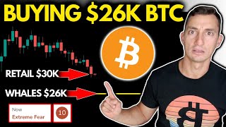 BITCOIN WHALES BUYING CHEAP BTC | Crypto News, Extreme Fear