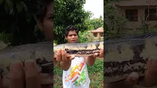 💥MONSTERനെ  വളർത്തിയാലോ