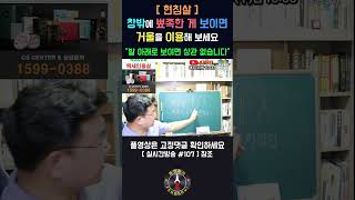 [실시간방송 #107] 집에서 이런게 보이면 꼭 이렇게 하세요!!!