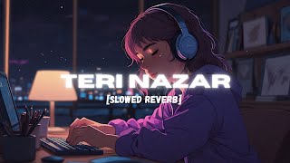 Teri Nazar || Slowed Reverb || Vasu Charlie || Hindi Bollywood Song