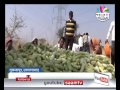 agrowon cucumber farming in tuljapur