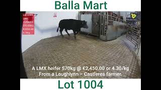 Balla Mart a heifer lot 1004 @ €4.30/kg