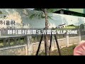 （屏東市）勝利星村創意生活園區 v.i.p zone，老舊眷村大變身成為文創新天地