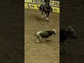 2021 NFR Winning Rides Round 1 - Tyler Wade & Trey Yates